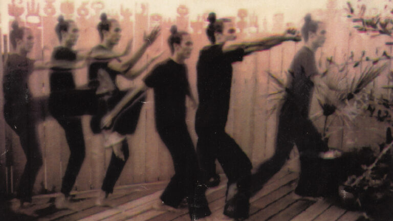 GIngi Lee Tai Chi