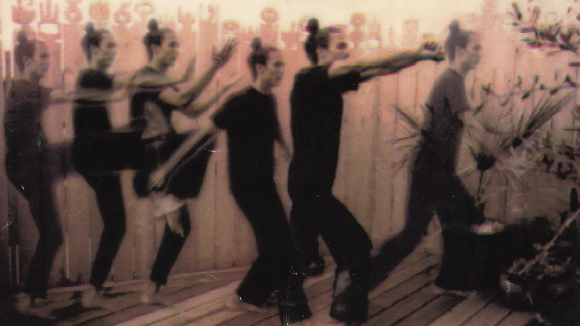 GIngi Lee Tai Chi