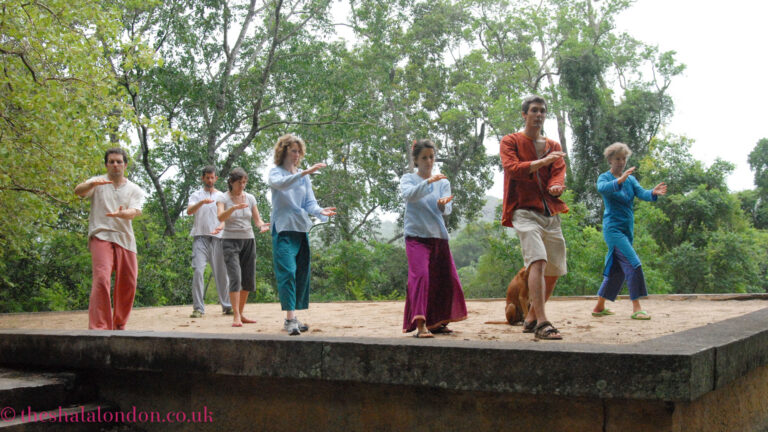Sri Lanka Yoga Retreat